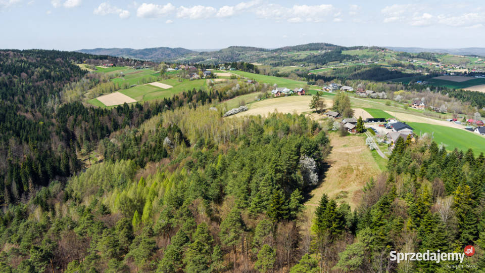 Na sprzedaż pastwisko zalesione w Jastrzębi małopolskie Jastrzębia