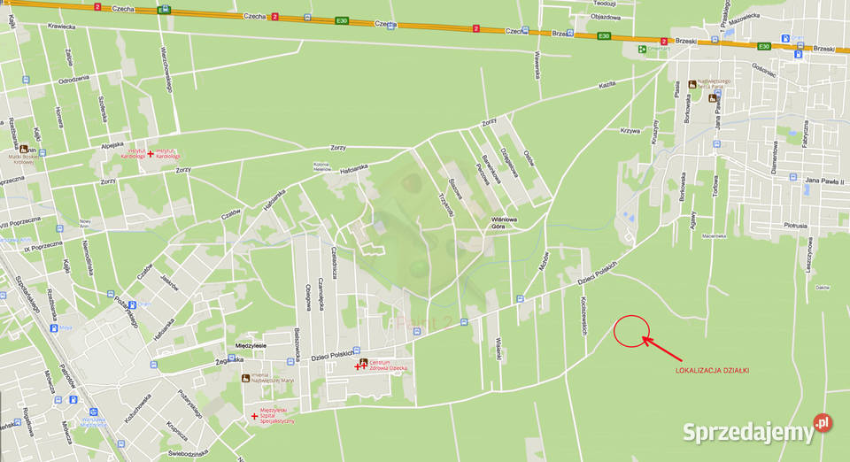 Działka leśna 3120 mkw niedaleko zabudowań Warszawa sprzedam