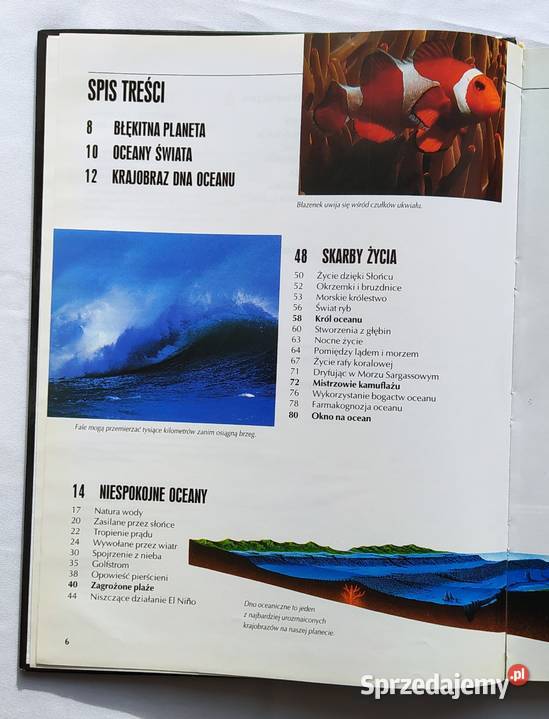 OCEANY poznać i zrozumieć Teisseyre Król Hajnówka