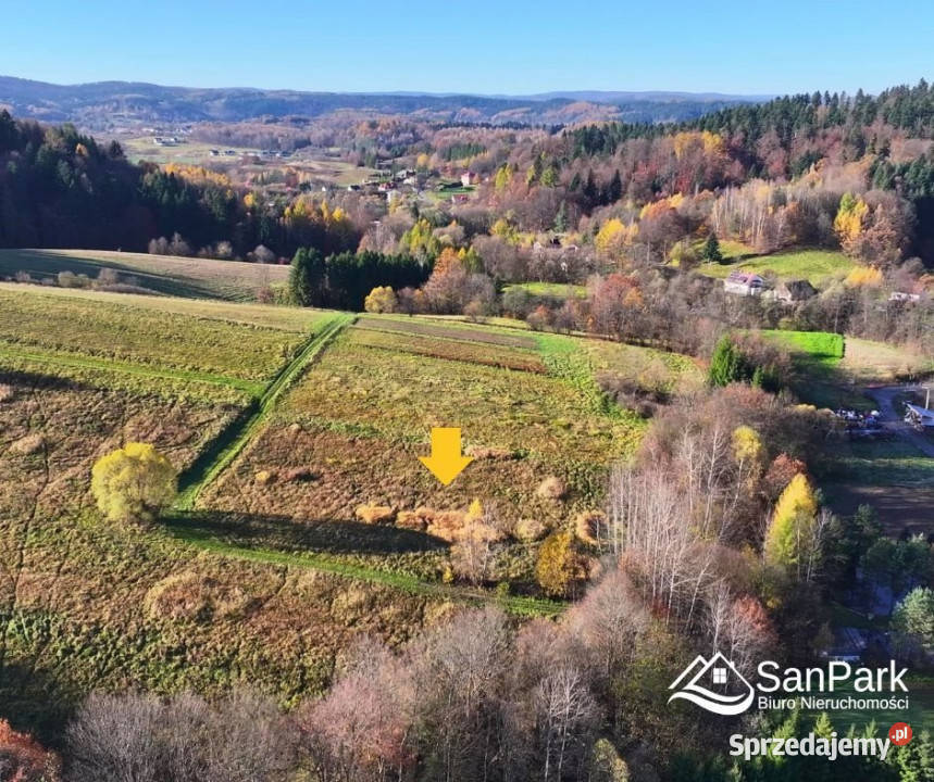 Działka Bezmiechowa Dolna 5000m2