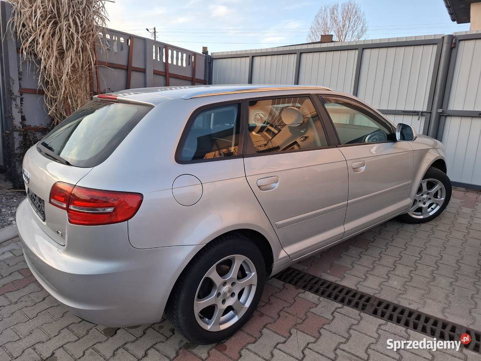 Audi a3 16 MPI 102 SerwisBezwypadekZadbany benzyna świętokrzyskie