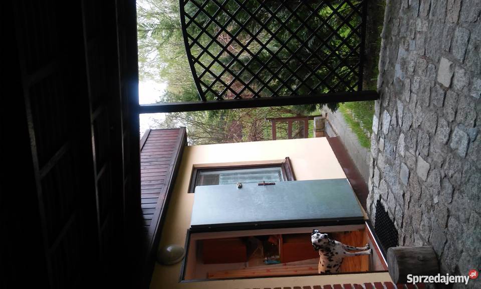 Sprzedam działkę ROD 115 Ogród Poznań sprzedam