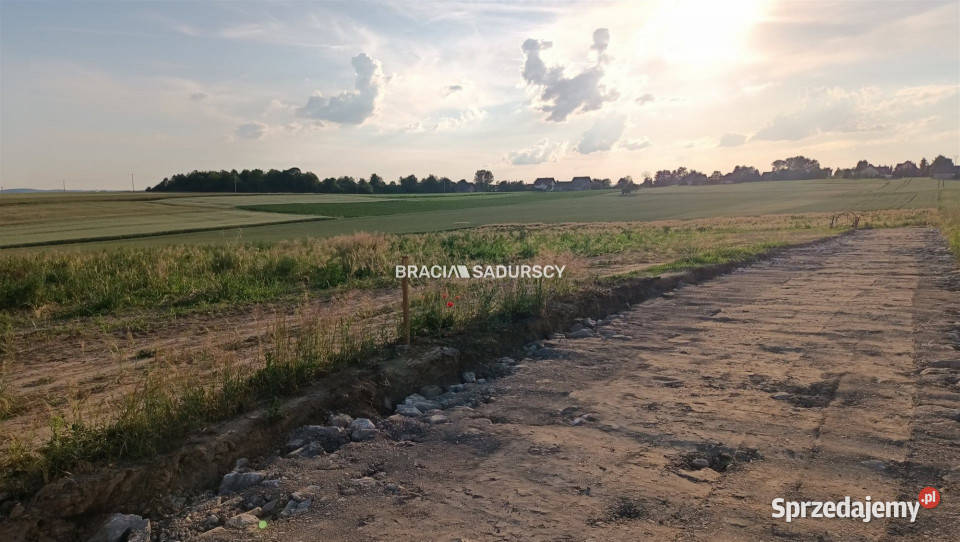 Działkę sprzedam 2503m2 Sieciechowice Długa sprzedam