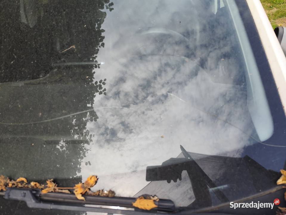 Peugeot 208 biały 208 Milicz