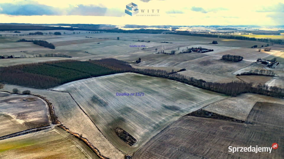 sprzedaży ziemi Pietrzwałd 154000m2