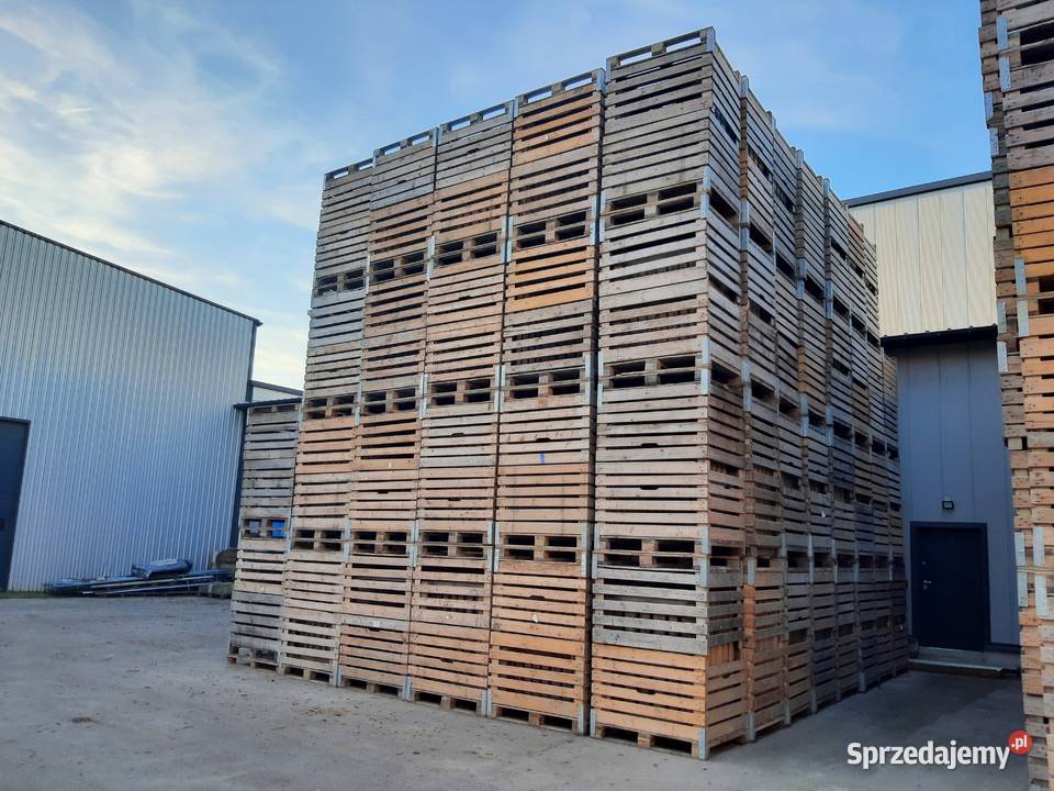 Skrzyniopalety drewniane Wisznice