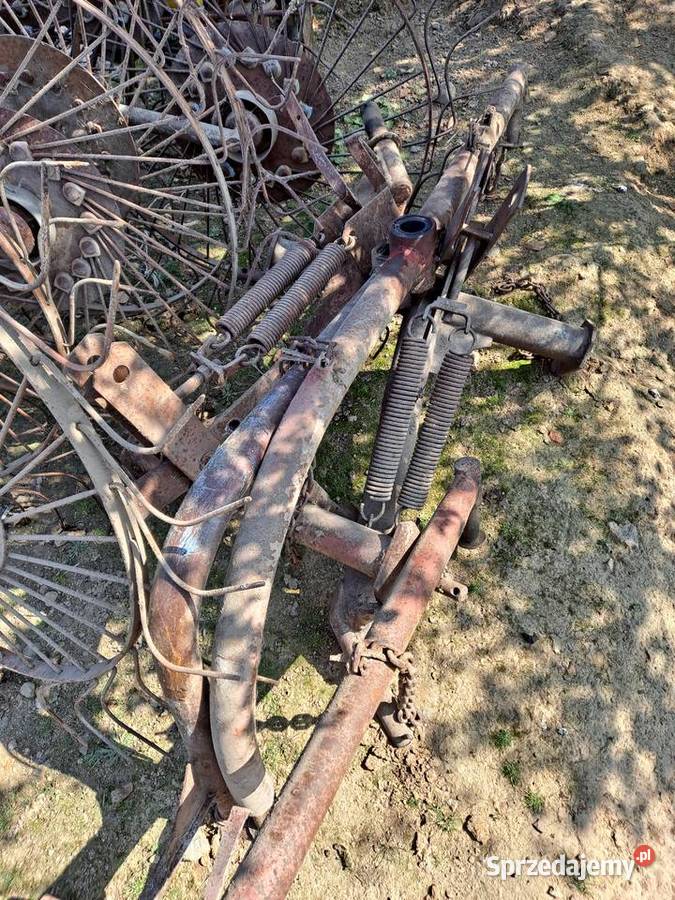 Słoneczko przewracarka Nowa Słupia