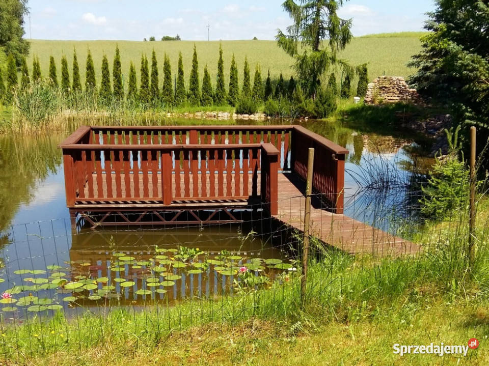 Działka rekreacyjna 1950 m2 dom 35 m2 100 metrów utwardzona Sprzedaż warmińsko-mazurskie