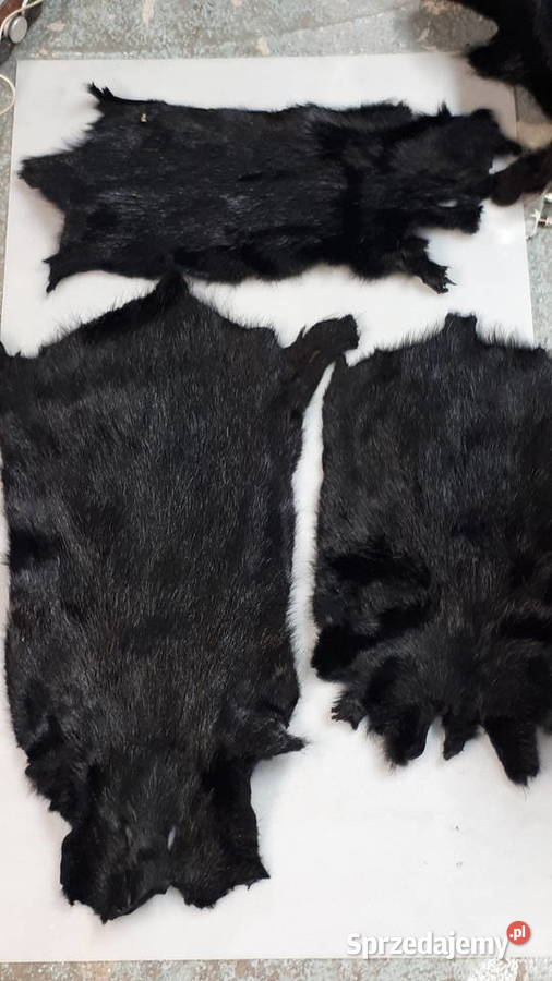 Skora skory z Nutrii czarnr Moda i Styl Wysokie Mazowieckie