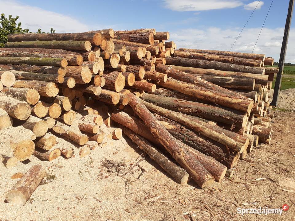 Drewno opałowe kominkowez transportem w w Kobyla Góra