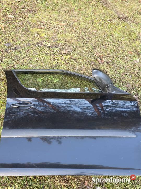 Drzwi Prawe prawy przód Skoda ROOMSTER 9910 osobowe Tychy