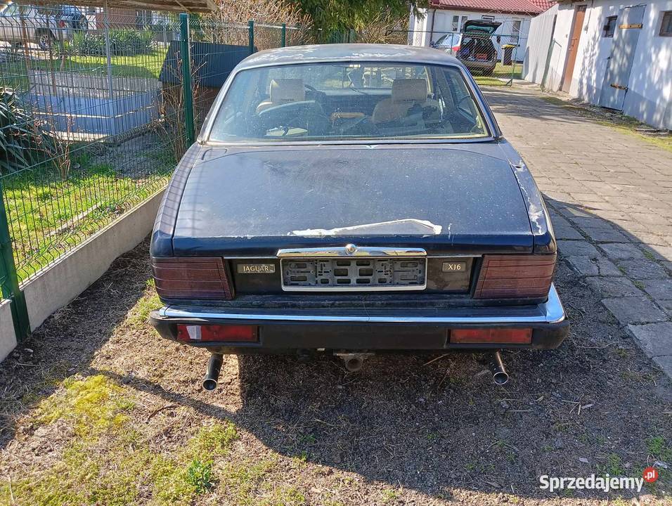 Jaguar XJ40 40 dawca organów