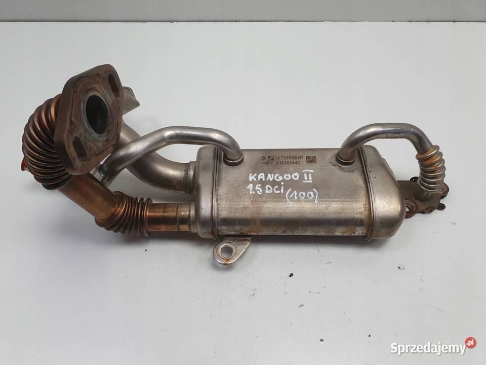 Renault Kangoo II 15 DCI CHŁODNICA SPALIN Rudka sprzedam