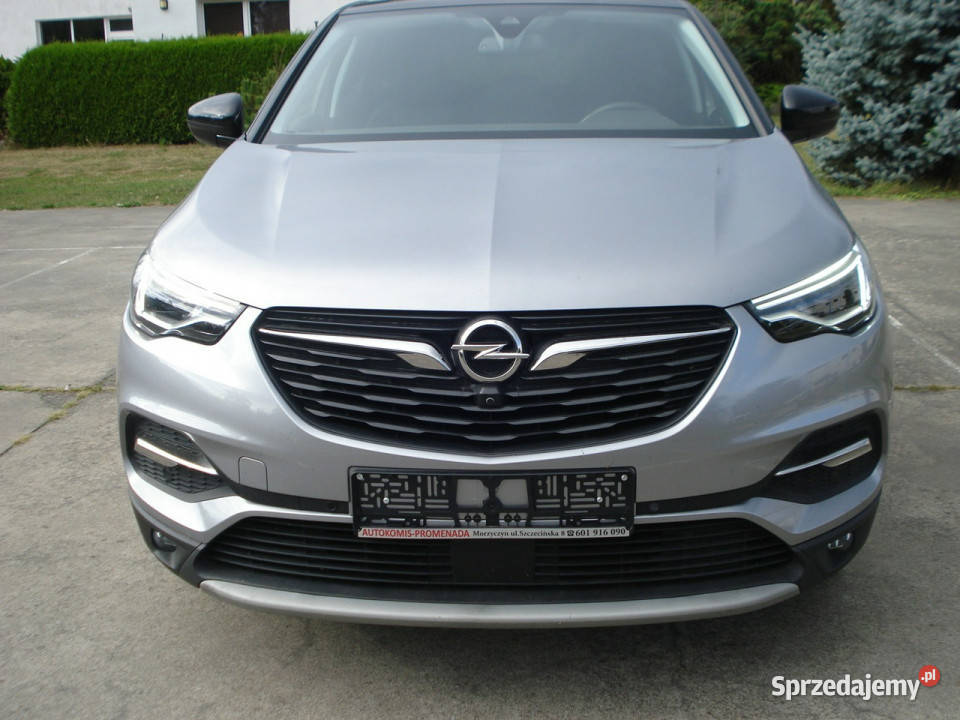 Opel Grandland X Serwis ASOStan idealny lakier metallic zachodniopomorskie Morzyczyn