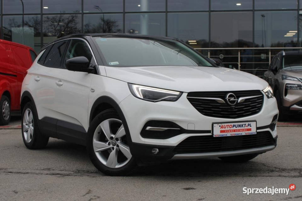 Opel Grandland X 2018r Skóra AFL Denon Panorama Grandland X Kraków