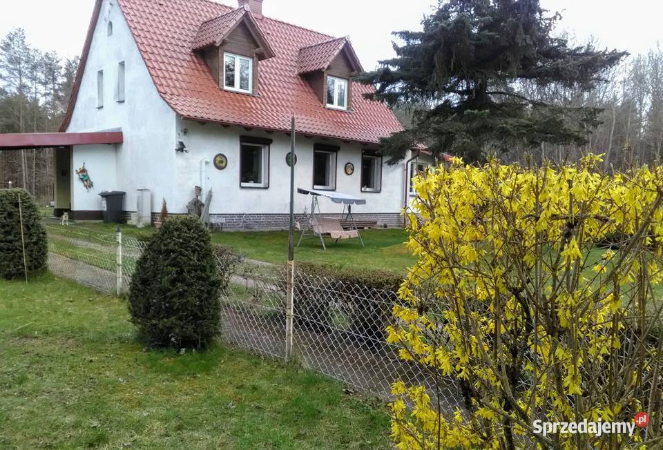 Dom na skraju lasu oaza spokoju ale miasta wolnostojący Mirosławiec