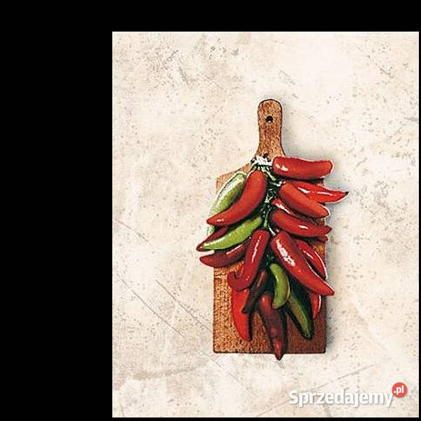 Country 2 Domino 20 x 25 aktualne Tubądzin Wykończenie zachodniopomorskie