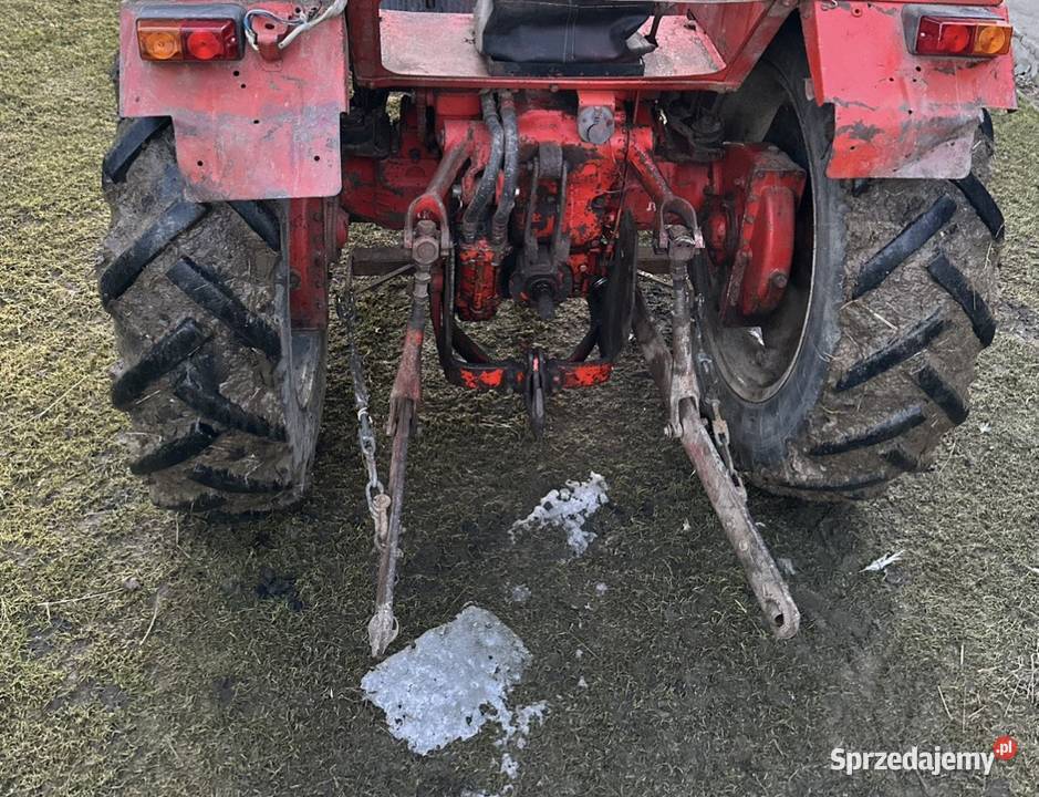 Wladymirec t25 Rusek Gruszowiec sprzedam