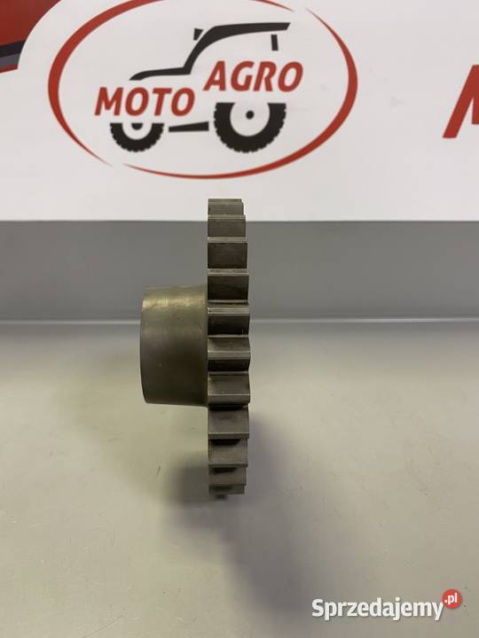 Koło zębate skrzyni biegów Z28 Massey Ferguson Białystok
