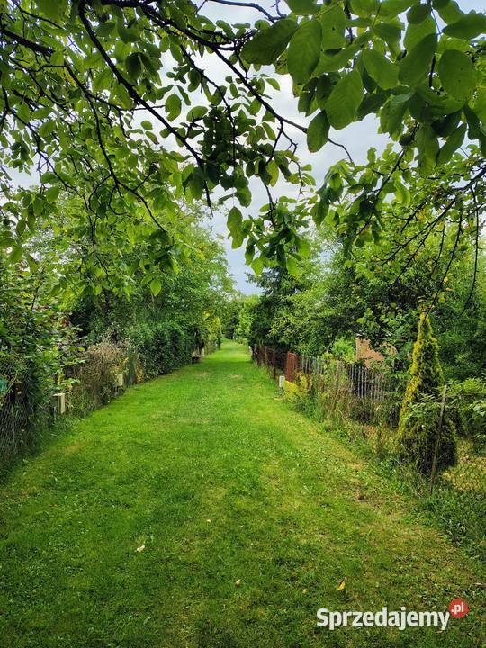 Działka ROD Bonarka Sprzedaż