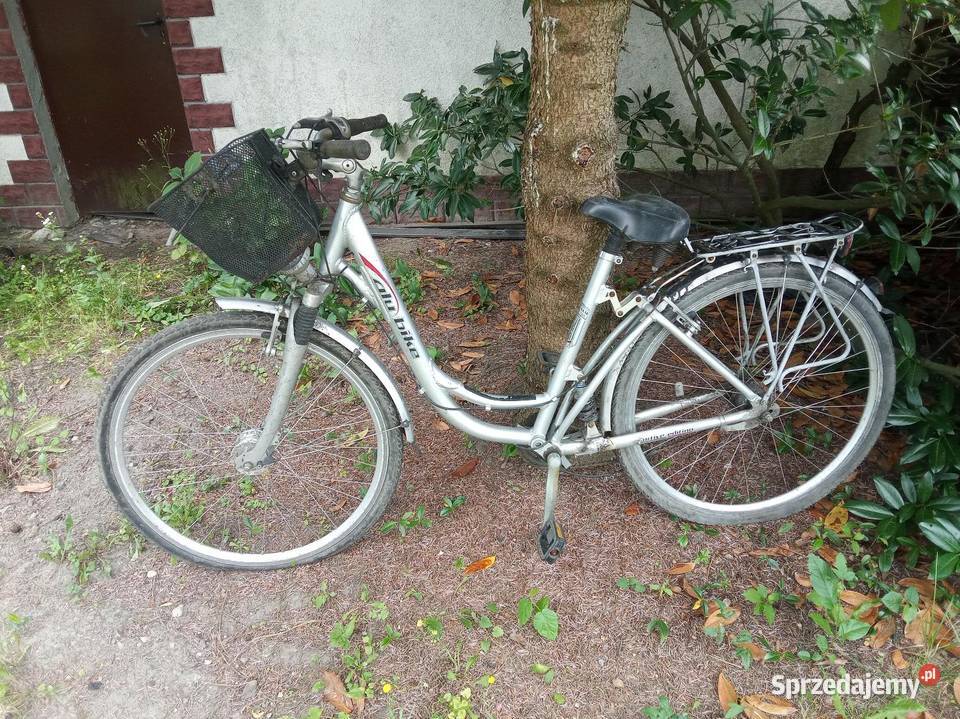 5 rowerów Puławy