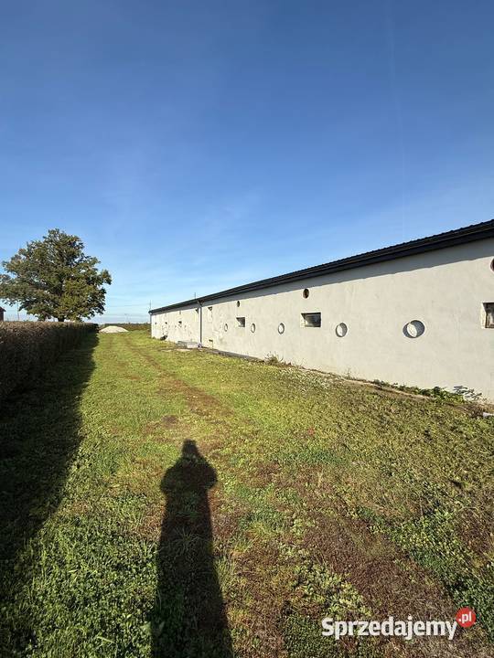 Magazyn 1000 m do wynajęcia Duża działka Pielgrzymowice