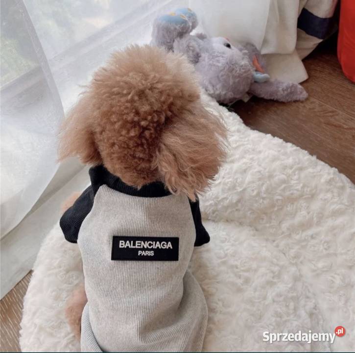 Nowa bluza ubranko psa Balenciaga L3XL Dla psów