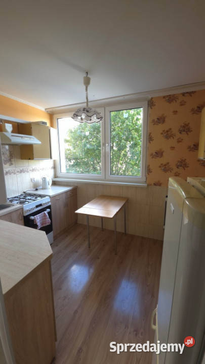 Mieszkanie w Centrum 9069zł/m2 Oława sprzedam