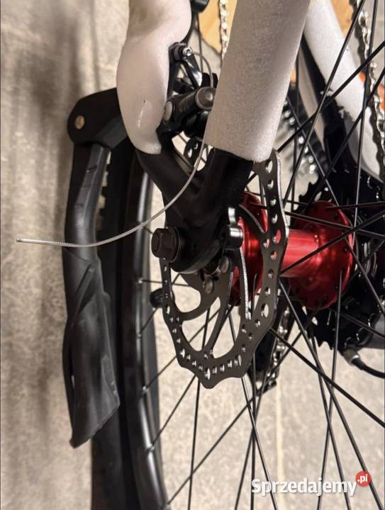 Rower elektryczny zawsze mlodzie Olkusz