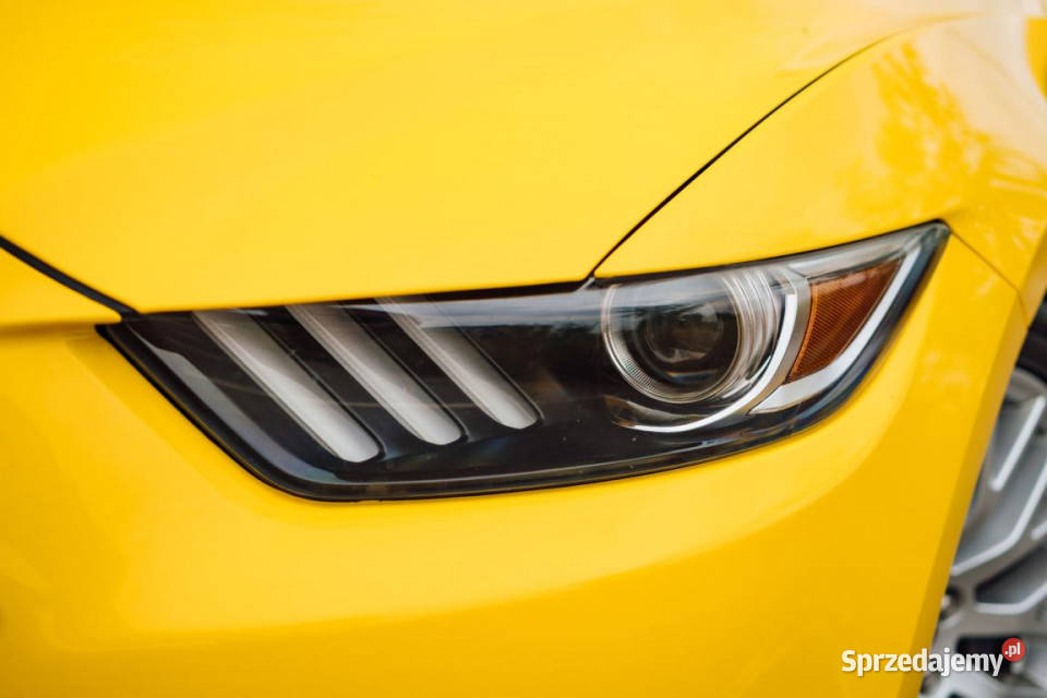Ford Mustang GT V8 50 mazowieckie Piaseczno