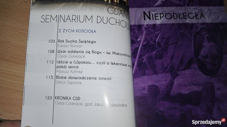 Novellae Olivarum 113 W duchu Niepodległości Gdańsk