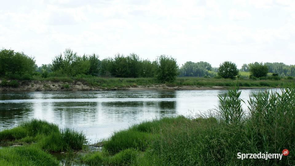 Działki budowlane 9700m2 kZakroczymia 60 m2 mazowieckie Wygoda Smoszewska sprzedam