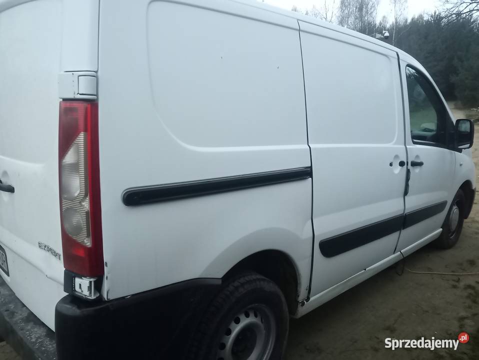 Peugot exper Mińsk Mazowiecki