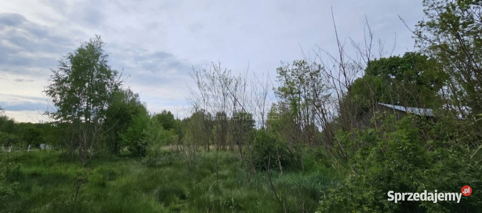 Malownicza działka budowlana na sprzedaż