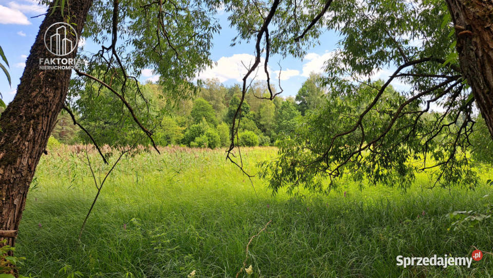 Działka 16000m2 Sobolewo Baranowicka rolna