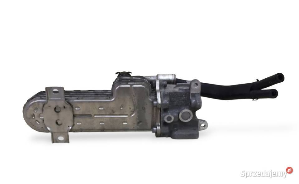 CHŁODNICA SPALIN EGR GOLF V PASSAT B6 TOURAN I świętokrzyskie