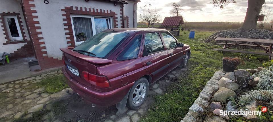 Ford Escort 1997r Klima Podgrzewana przednia 70KM Wrocław