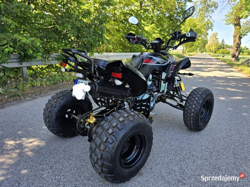 Quad Bashan 250cc Ciecz 41R Kat B Duża Rama Kruszwica