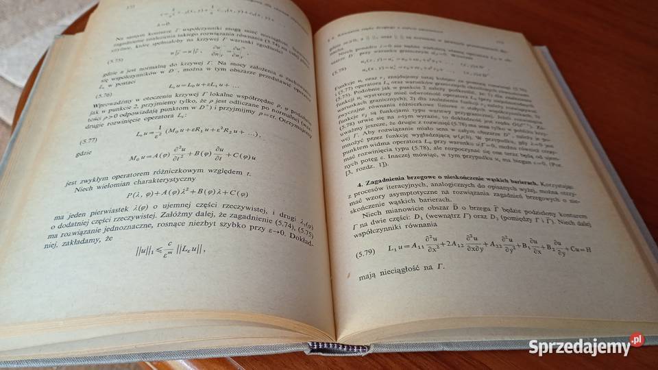 Równania liniowe fizyki matematycznej Babicz tradycyjny podręcznik Gdańsk