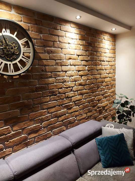 Lico cegły płytki ze starych cegieł na ścianę Wrocław