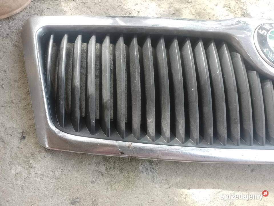 Gril Atrapa koda Ślesin