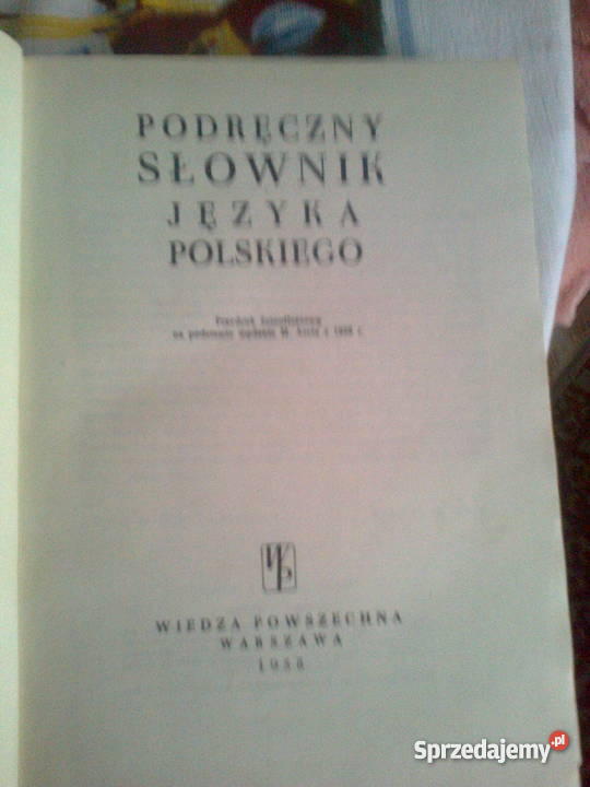 książkę PODRĘCZNY SŁOWNIK JĘZYKA POLSKIEGO