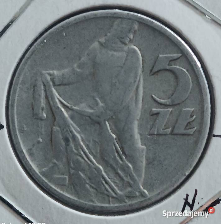 5 złotych Rybak 1958 r 1 Skrętka Konin
