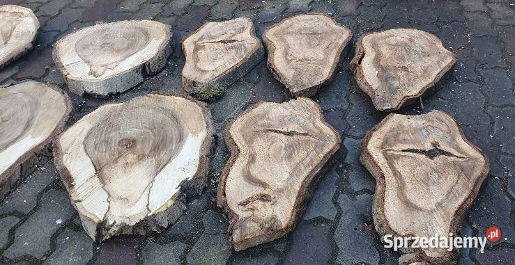 Plastry drewna orzech Pakość sprzedam