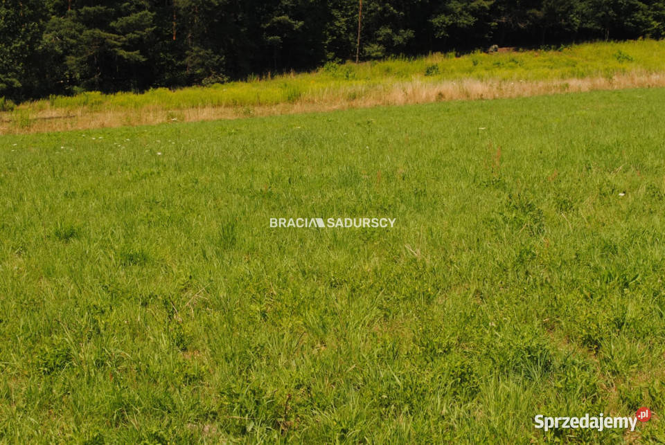 Działkę sprzedam Kryspinów 5500m2 Grunty i działki