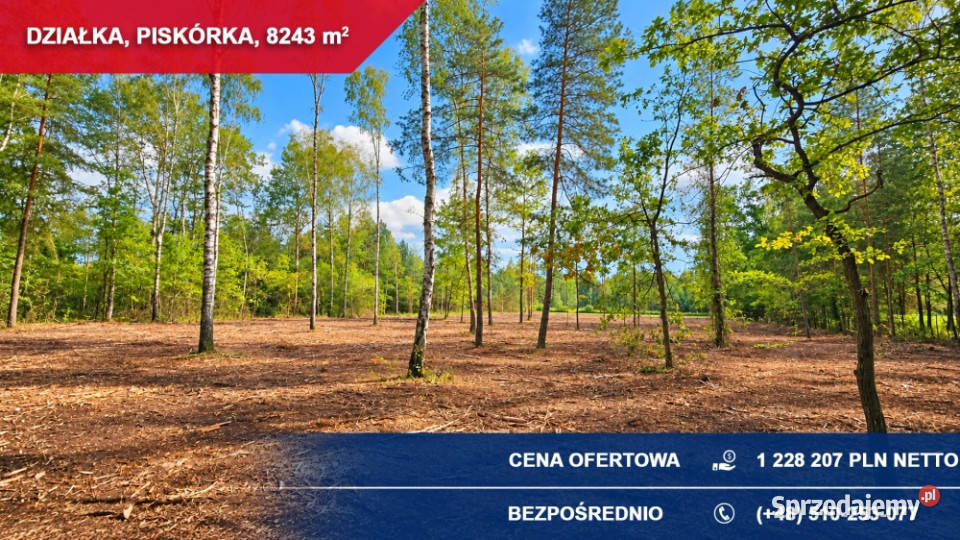 działka lesie z doskonałym dojazdem 8243 m budowlana Piskórka