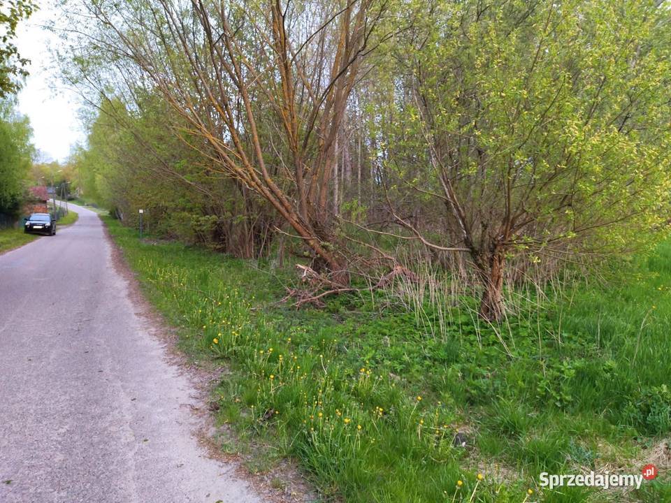 Działka budowlana z dostępem do linii brzegowej Sprzedaż warmińsko-mazurskie Lesiska