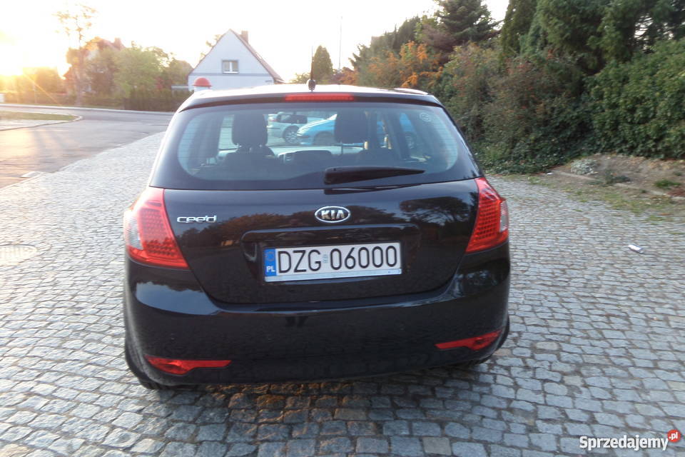 Kia ceed salon Polska PIERWSZY WŁAŚCICIEL Zgorzelec
