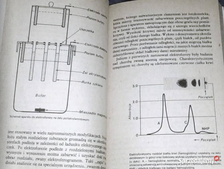 Laboratorium przyrody Andrzej Anioł Rok wydania 1984 Chełm