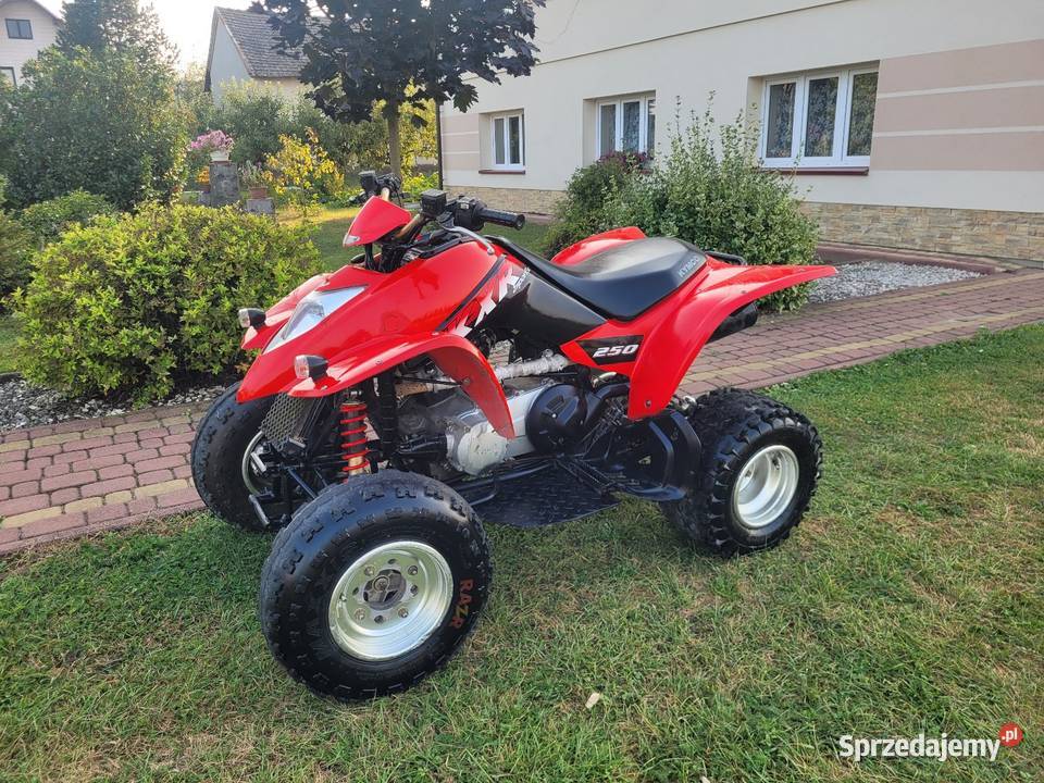 Quad Kymco Kxr 250 ltz ltr kfx yfz raptor trx Kymco Wola Otałęska